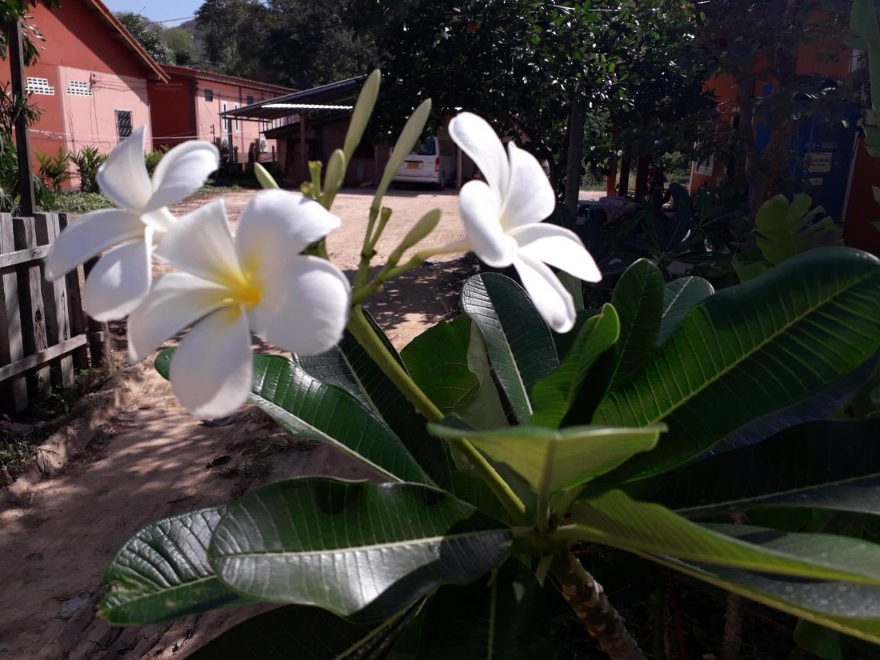 Lanta Lucky House Hotell Ko Lanta Exteriör bild